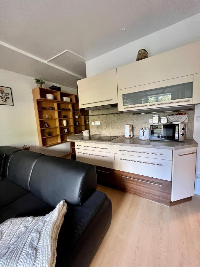 Apartman Labska 21 Ve Spindlerove Mlyne Apartment Spindleruv Mlyn Exterior photo