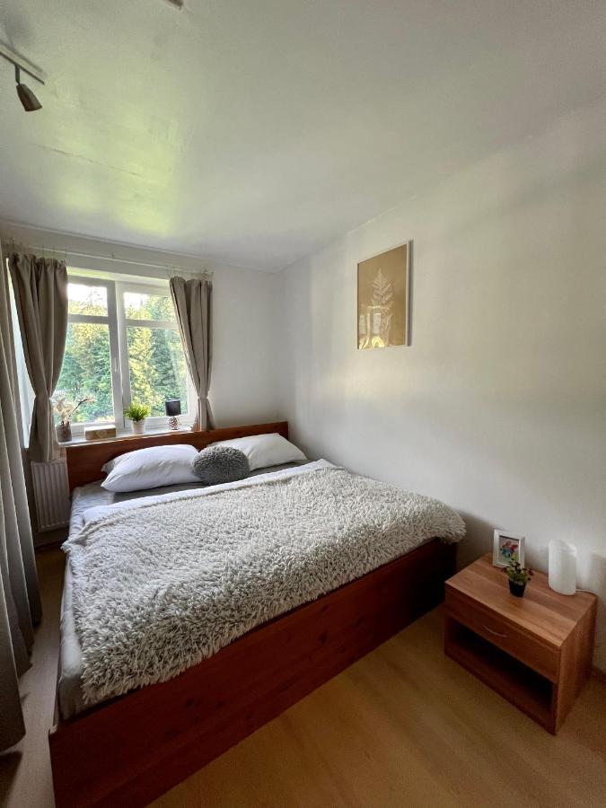 Apartman Labska 21 Ve Spindlerove Mlyne Apartment Spindleruv Mlyn Exterior photo